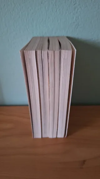 Lotto di 4 libri, Van Gogh,Picasso,Renzi e Tiziano