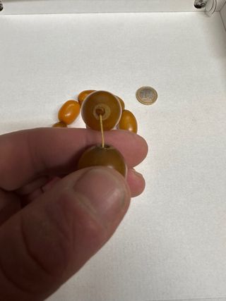 Collana vintage con perle ovalate