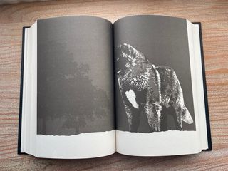 Loba negra / The Black Wolf (LA TRILOGÍA REINA ...