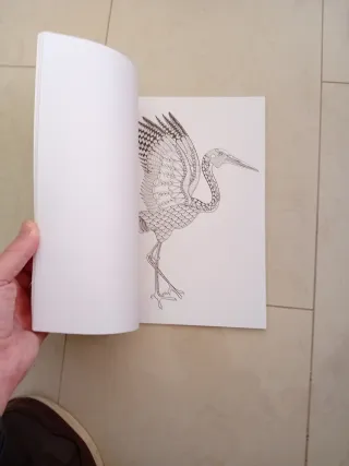 Mandalas Colouring and Relaxing