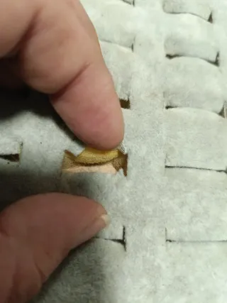 Expositor para anillos beige 50