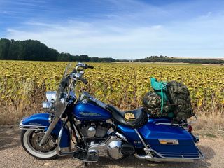 Harley Davidson Road King Evo