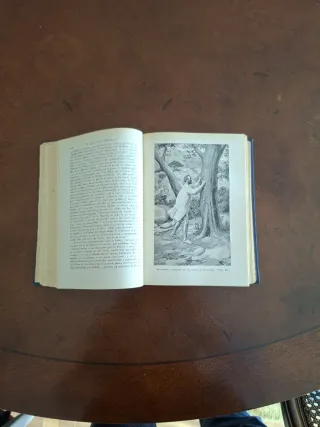 El ingenioso Hidalgo Don Quijote de La Mancha