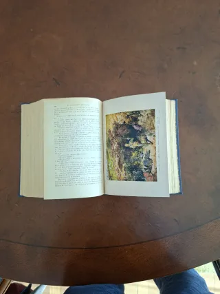 El ingenioso Hidalgo Don Quijote de La Mancha