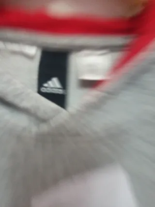 Sudadera Adidas Gris Logo Grande