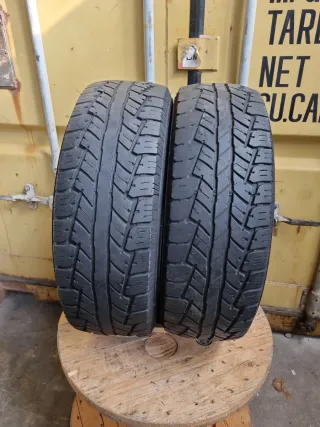 Se vende 2 Neumáticos en perfecto estado