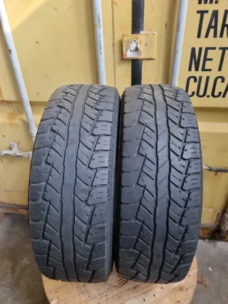 Se vende 2 Neumáticos en perfecto estado