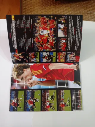 DVD UEFA EURO 2008 CAMPEONES