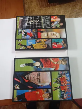 DVD UEFA EURO 2008 CAMPEONES