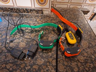 Dogtra Pathfinder 2 GPS Collar