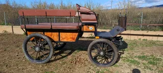 Carruaje maratón grande