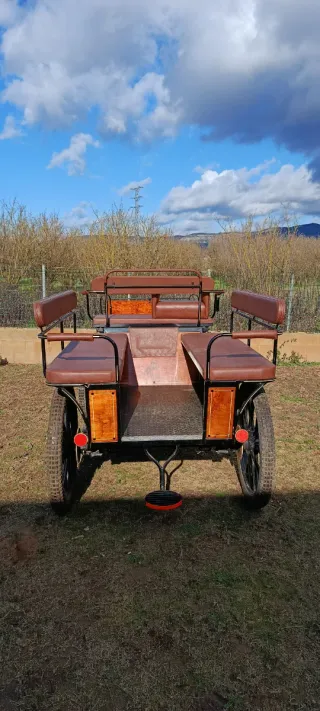 Carruaje maratón grande