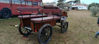 Carruaje maratón grande