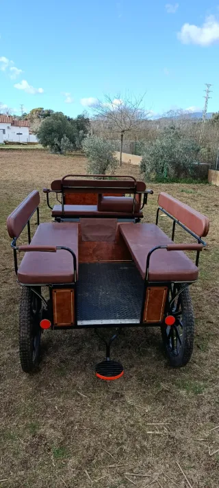 Carruaje maratón grande