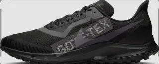 Nike Pegasus 36 Gore-Tex Trail Running