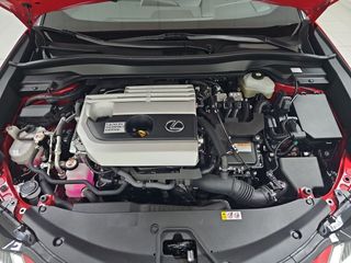 Lexus UX 2.0 250h Business