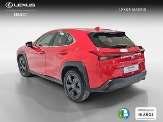 Lexus UX 2.0 250h Business