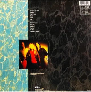 NIRVANA LP Nevermind (Picture Disc) cover + insert