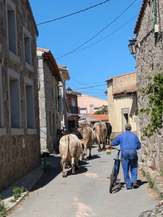 Casa Rural-Piscina-Jacuzzi y BBQ-Ávila