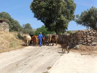 Casa Rural-Piscina-Jacuzzi y BBQ-Ávila