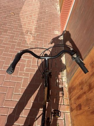 Bicicleta Paseo Weed