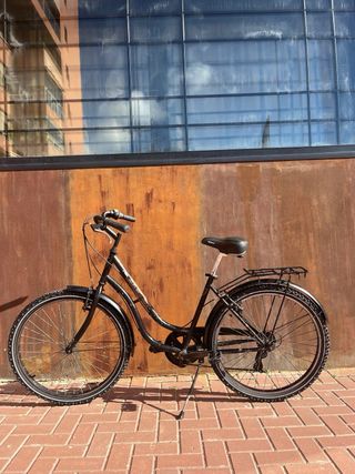 Bicicleta Paseo Weed