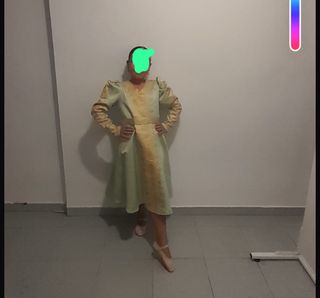 Traje indio bolibud dorado y verde Carnaval