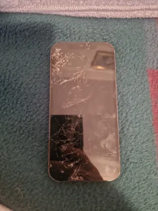 iPhone 12 Pro Max Roto