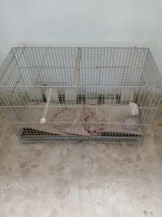 3 Jaulas para pájaros - 15€