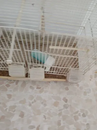 3 Jaulas para pájaros - 15€