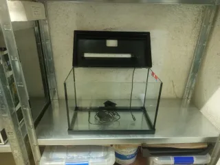 Pecera ICA Aqua 20 LED 22L