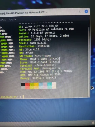 HP Pavilion g6 Notebook PC