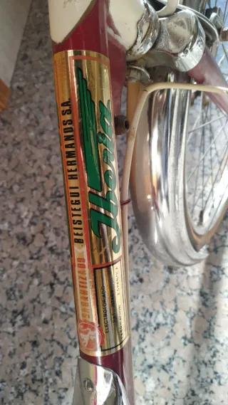 Bicicleta plegable BH com Cambio de marchas