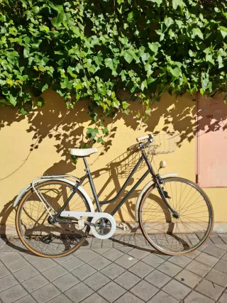 Bicicleta Urbana y bicicleta Vintage