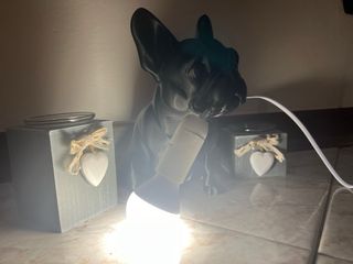 Lampada Bulldog Francese Stampa 3D