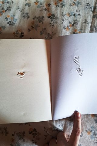 Chase Me A Broke and Beautiful Novel