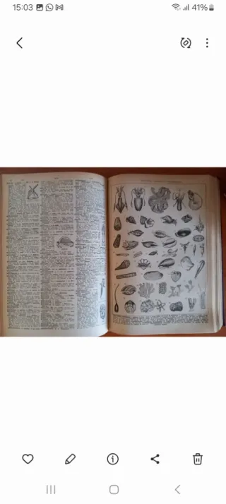 Diccionario Hispánico Universal