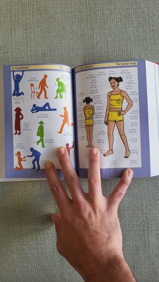 Diccionario ingles frances