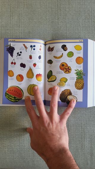 Diccionario ingles frances