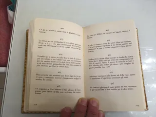 Massime Riflessioni e autoritratto Rochefoucauld