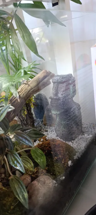 Terrario con luz led