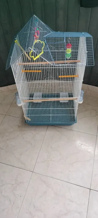 Jaula grande para pájaros