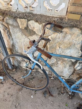 Bicicleta BH Clásica Azul