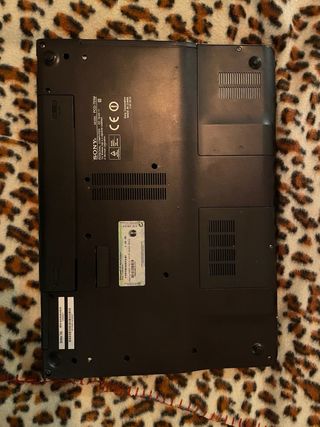 Sony Vaio Vintage Beige