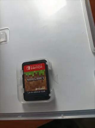 Minecraft Nintendo Switch