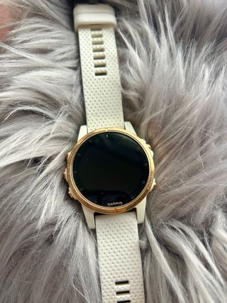 Reloj Garmin Fenix 5S Plus Sapphire