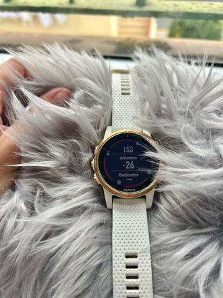 Reloj Garmin Fenix 5S Plus Sapphire