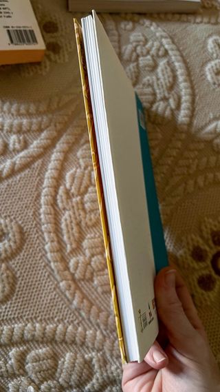 Servet y el leño verde: Guion de película