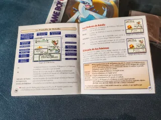 Pokemon Edición Plata Game Boy Color