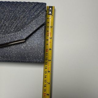 Bolso de fiesta brillante